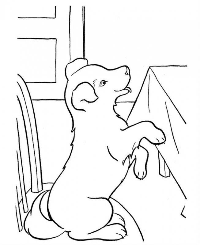 Catelusi de colorat p7