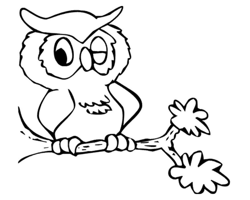 Bufnita de colorat p26