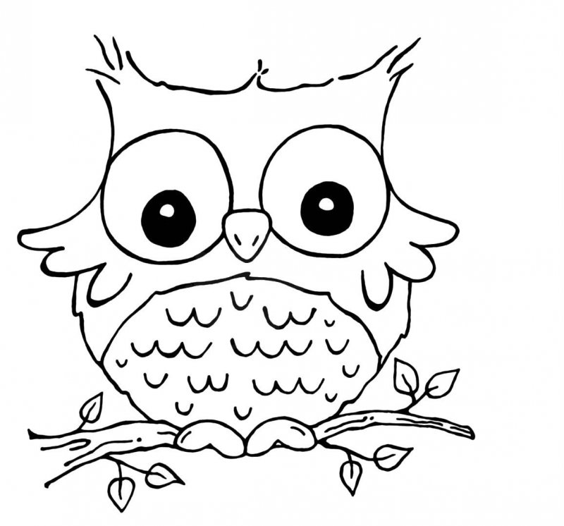 Bufnita de colorat p16