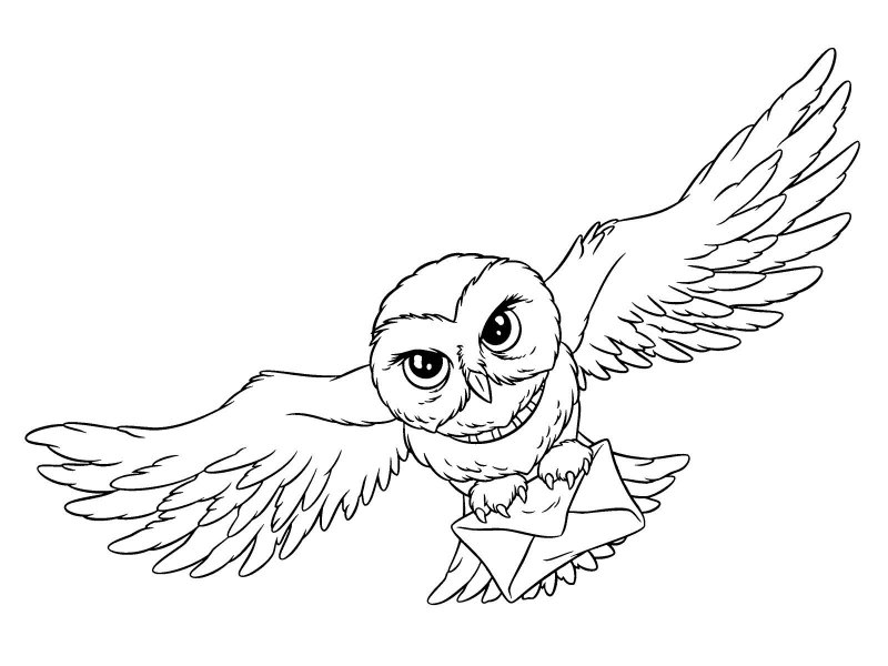 Bufnita de colorat p6