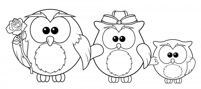 Bufnita de colorat p23