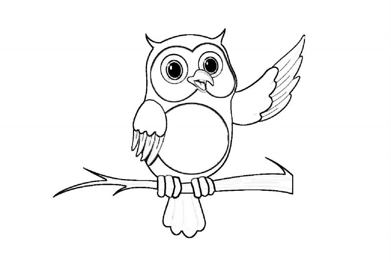 Bufnita de colorat p29