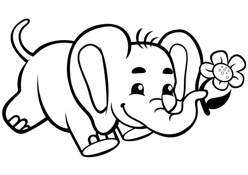 Elefant de colorat p17