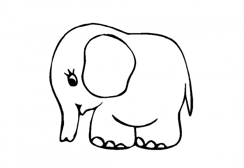 Elefant de colorat p1