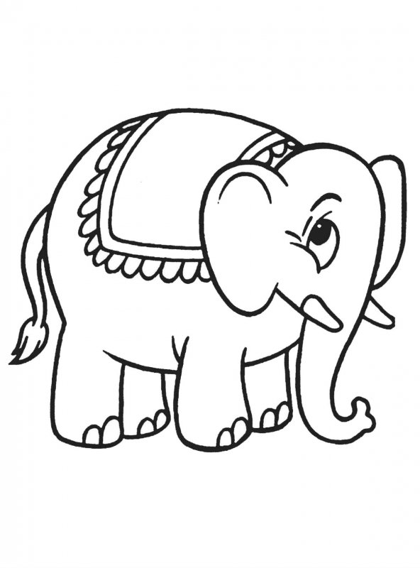 Elefant de colorat p9