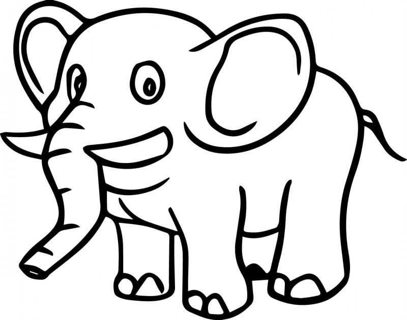 Elefant de colorat p32