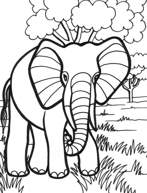 Elefant de colorat p18
