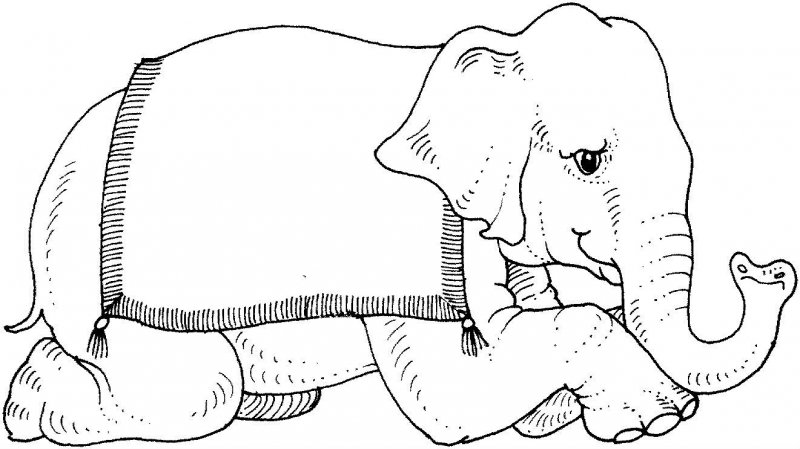 Elefant de colorat p7