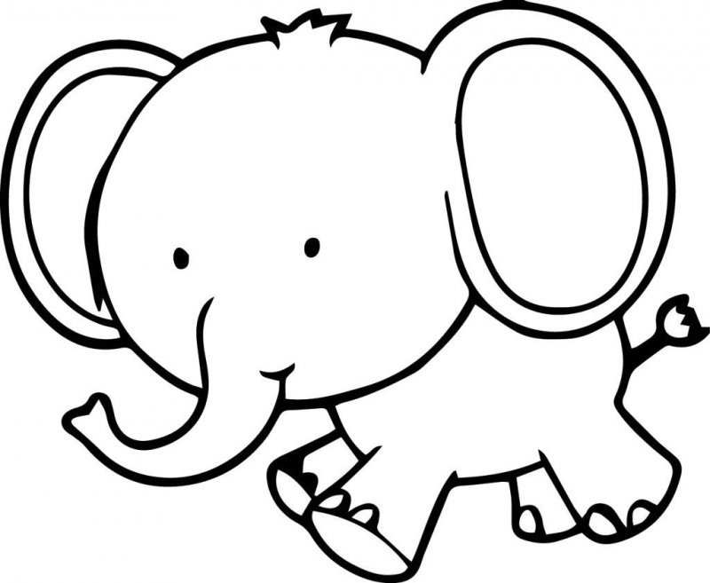 Elefant de colorat p52