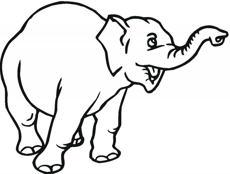 Elefant de colorat p24