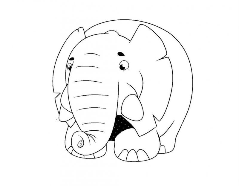 Elefant de colorat p27
