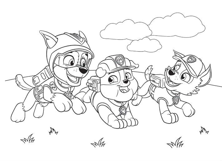 Patrula Catelusi de colorat p49