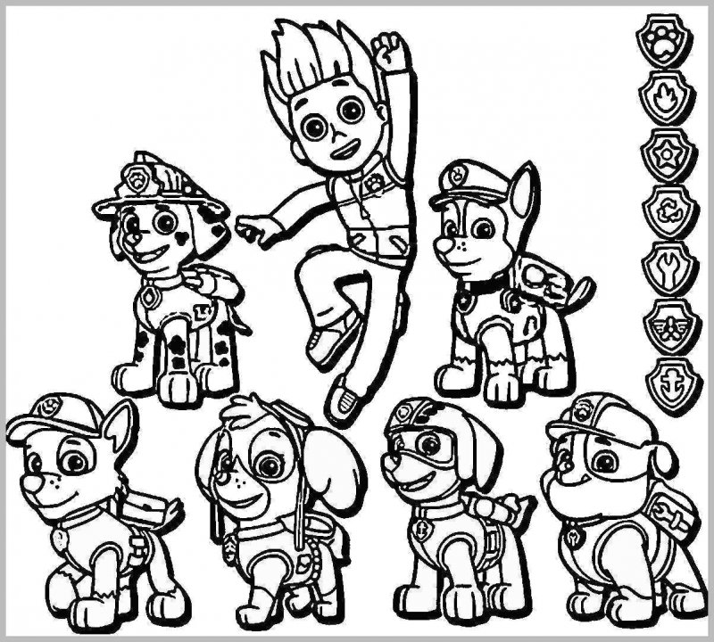 Patrula Catelusi de colorat p50