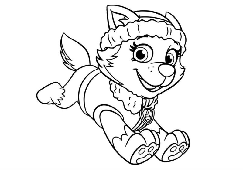 Patrula Catelusi de colorat p9