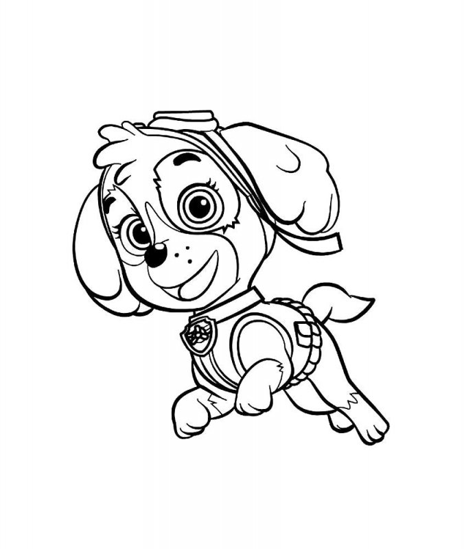 Patrula Catelusi de colorat p32