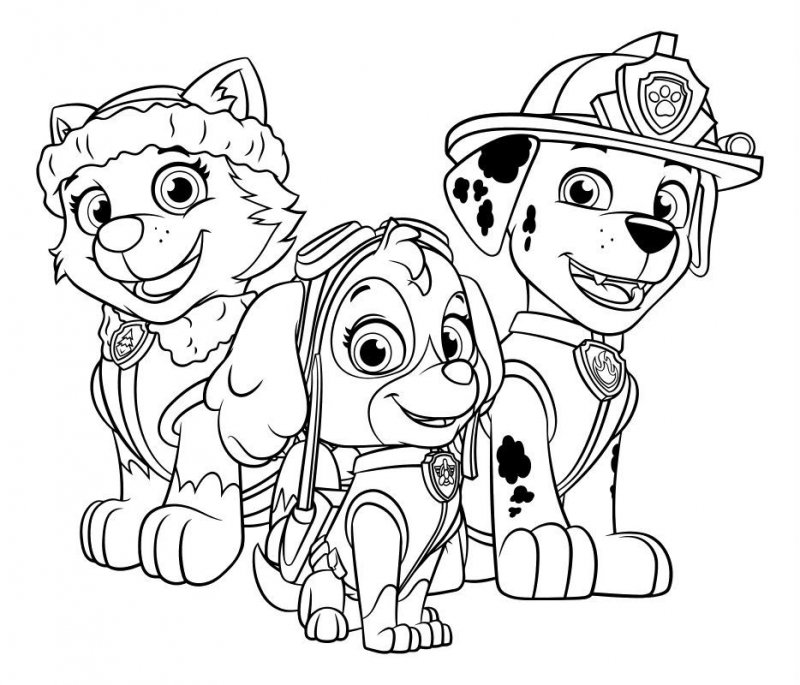 Patrula Catelusi de colorat p10