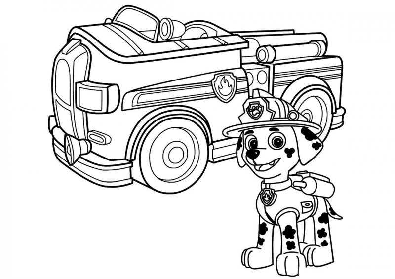 Patrula Catelusi de colorat p36