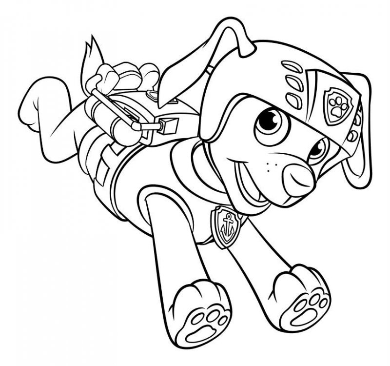 Patrula Catelusi de colorat p48