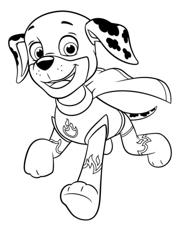 Patrula Catelusi de colorat p52