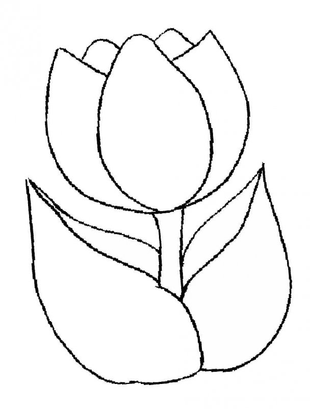 Lalele de colorat p22