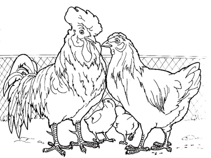 Inghetata de colorat p27