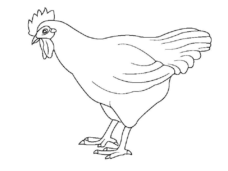 Inghetata de colorat p25