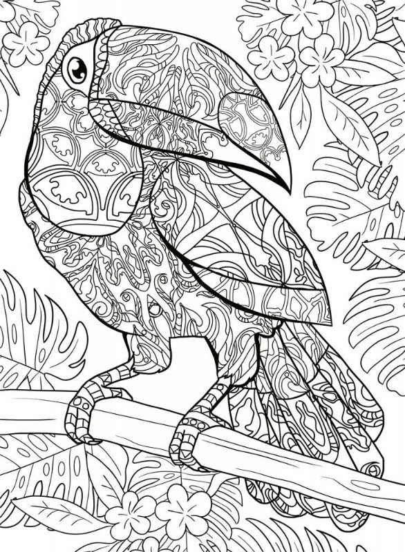 Pentru adulti de colorat p9