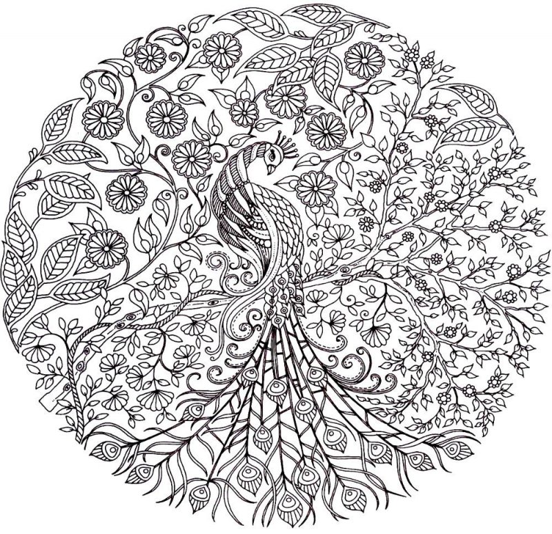 Pentru adulti de colorat p33