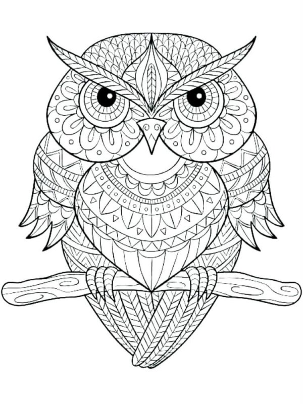 Pentru adulti de colorat p14