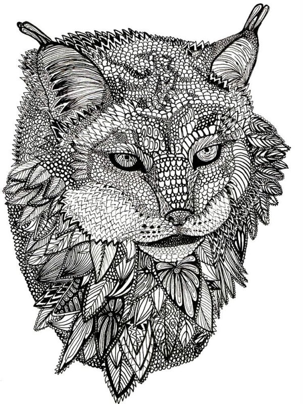 Pentru adulti de colorat p31