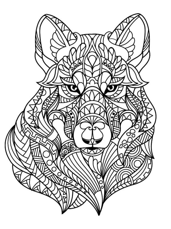 Pentru adulti de colorat p22