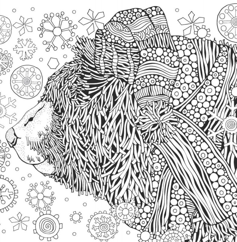 Pentru adulti de colorat p57