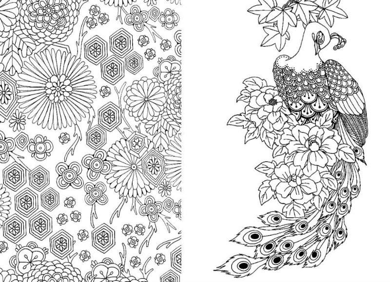 Pentru adulti de colorat p39