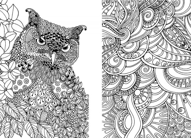 Pentru adulti de colorat p62