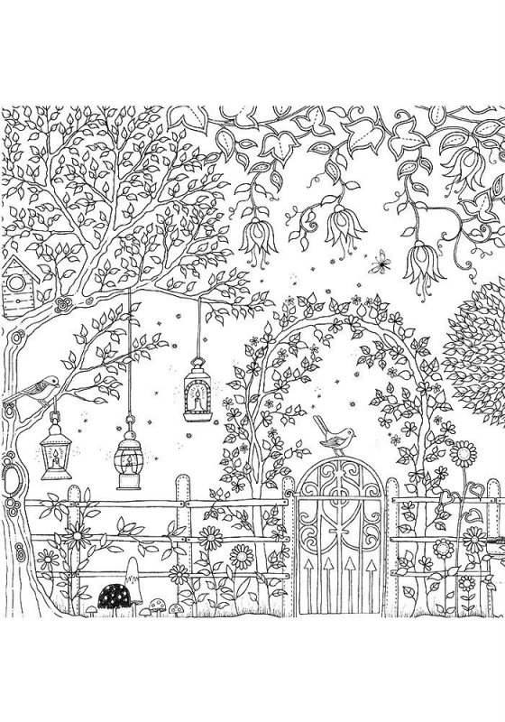 Pentru adulti de colorat p69