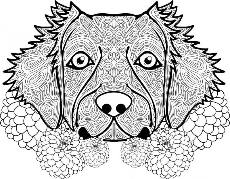 Pentru adulti de colorat p65