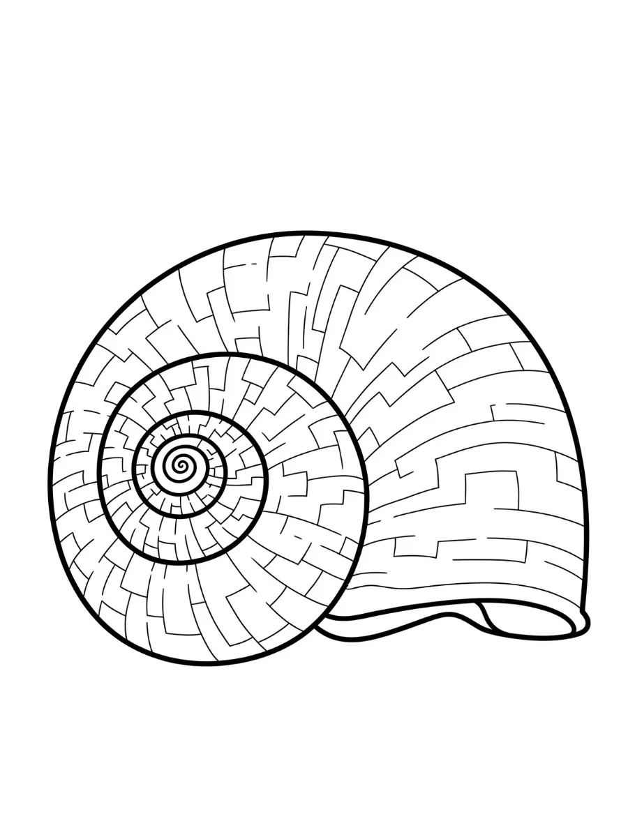 Fișă cu melc de colorat p20