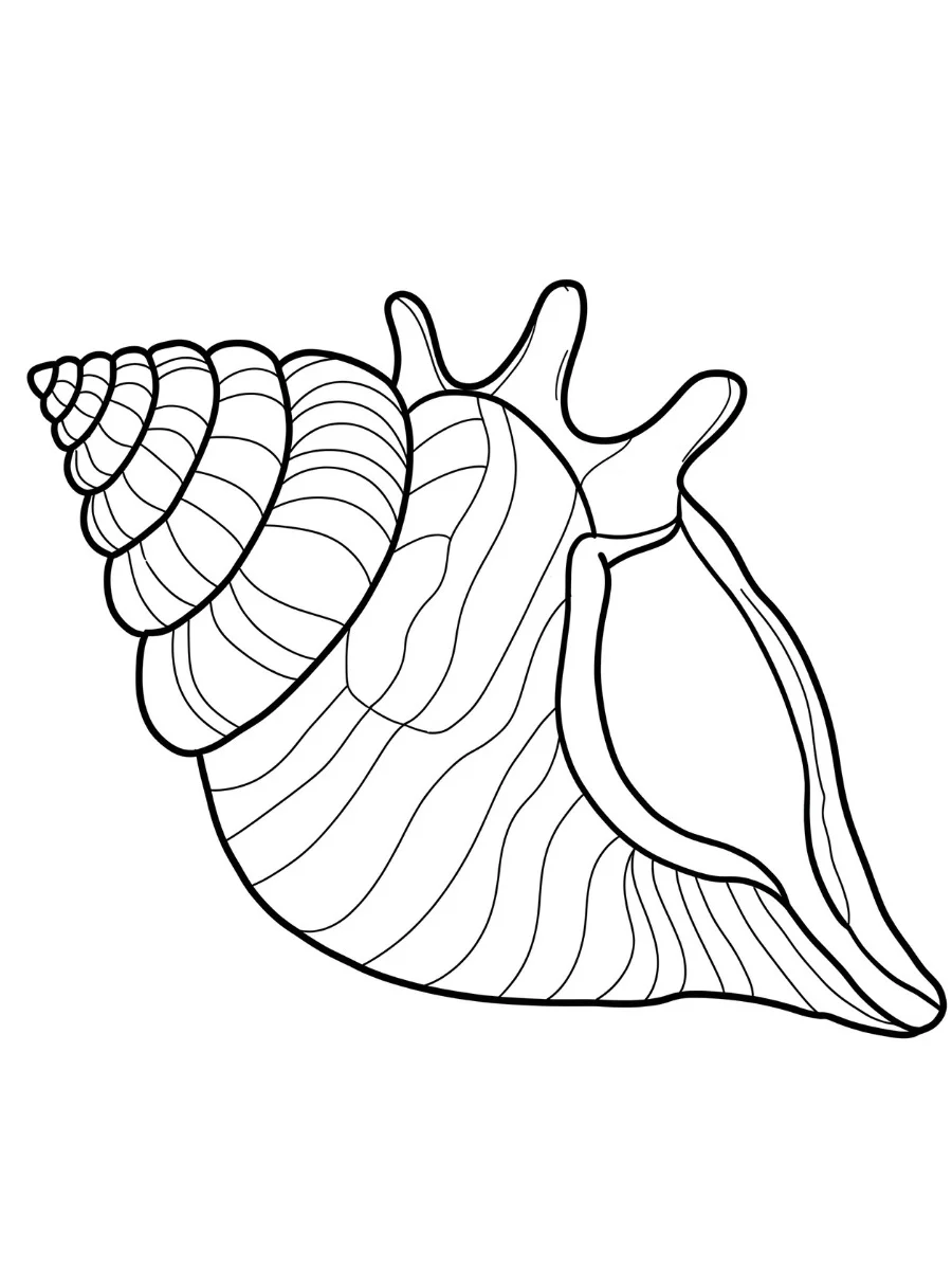Fișă cu melc de colorat p13