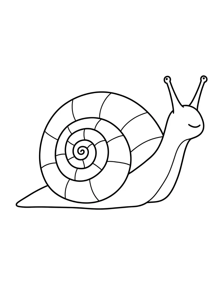 Fișă cu melc de colorat p6