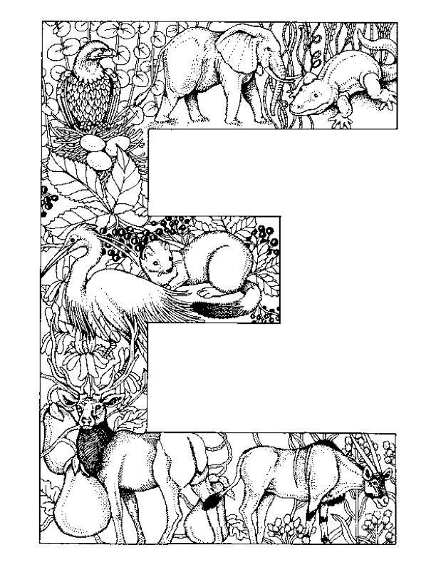 Fisă de colorat cu Alfabetul cu animale de colorat p05