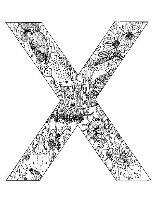 Fisă de colorat cu Alfabetul cu animale de colorat p24