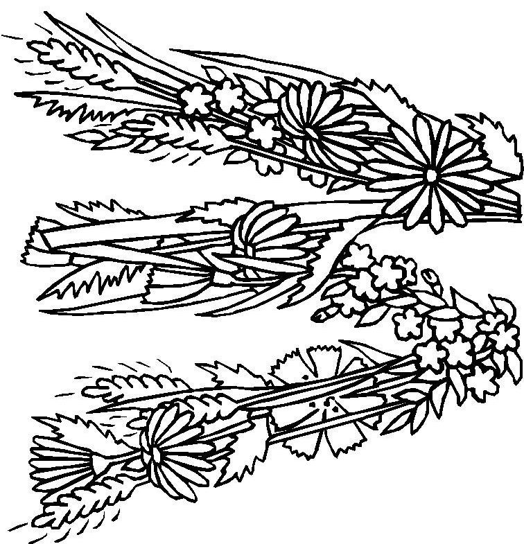 Fisă de colorat cu Alfabetul cu flori de colorat p23