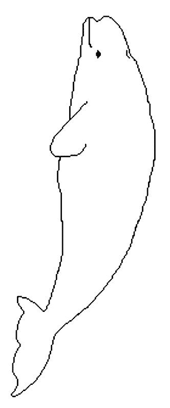 Fisă de colorat cu Animale balene de colorat p14