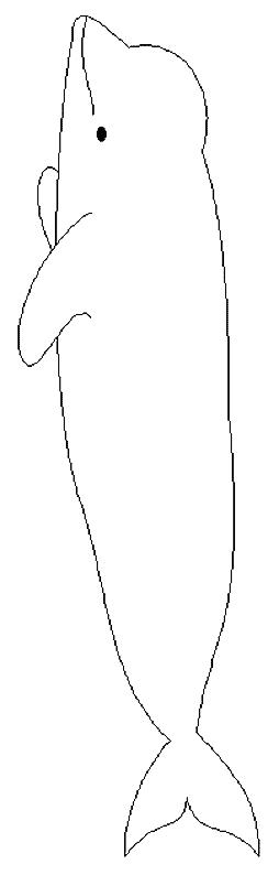 Fisă de colorat cu Animale balene de colorat p15