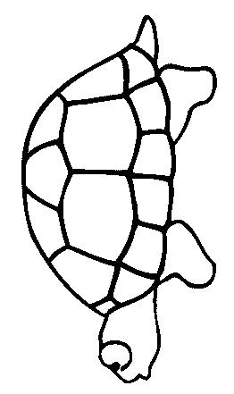 Fisă de colorat cu Animale broaste testoase de colorat p04