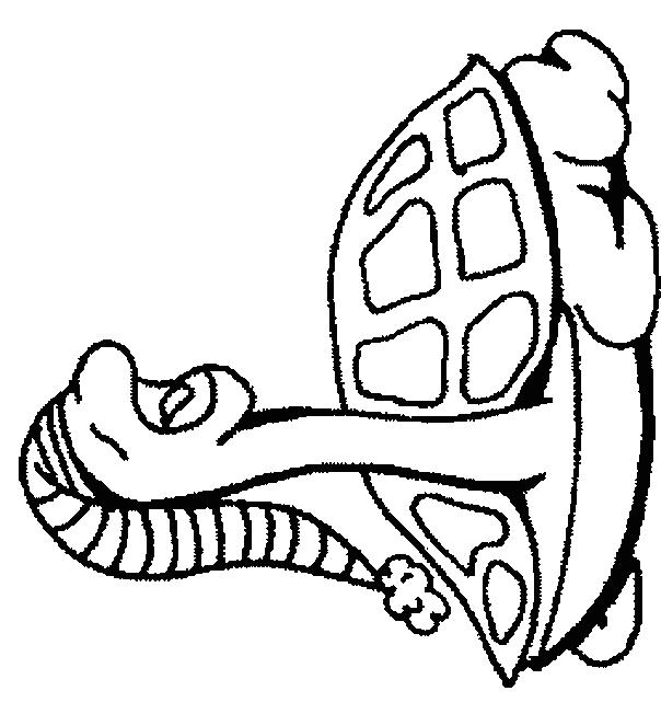 Fisă de colorat cu Animale broaste testoase de colorat p06