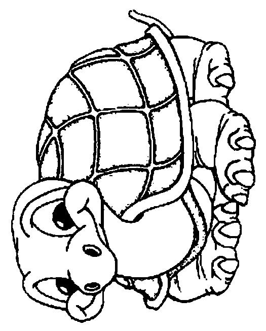 Fisă de colorat cu Animale broaste testoase de colorat p18