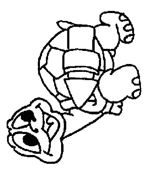 Fisă de colorat cu Animale broaste testoase de colorat p28