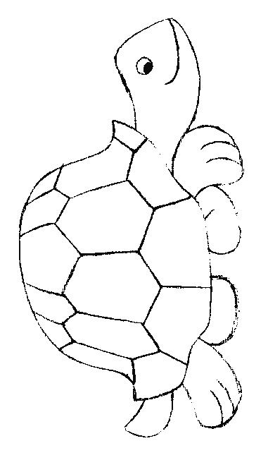 Fisă de colorat cu Animale broaste testoase de colorat p30