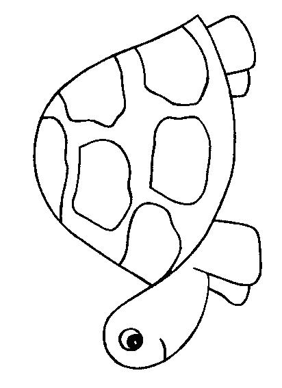 Fisă de colorat cu Animale broaste testoase de colorat p31